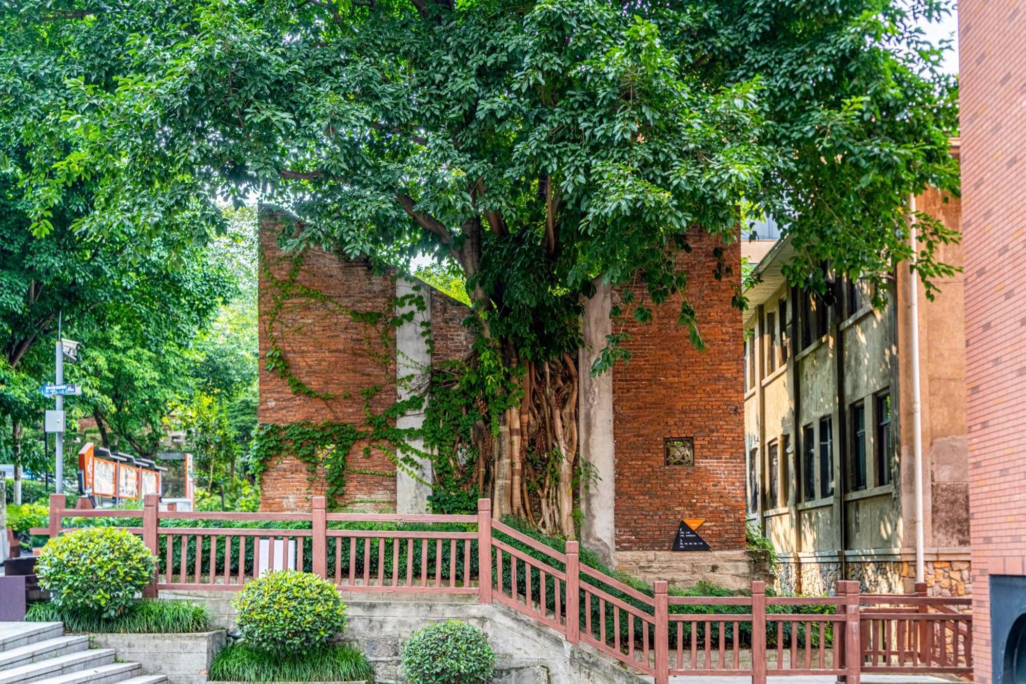 Wuyu Hotel - Chongqing University & Ciqikou Ancinet Town Exterior foto